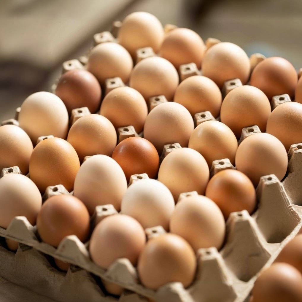Cubeta de 30 huevos de La Granja de Alejo
